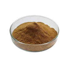 Food Antioxidant natural antioxidant rosemary extract Manufactory